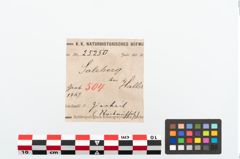 Foto von Bronzezierbeil (NHMW-PRAE-025250)